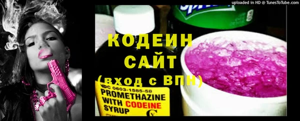 метадон Алексин
